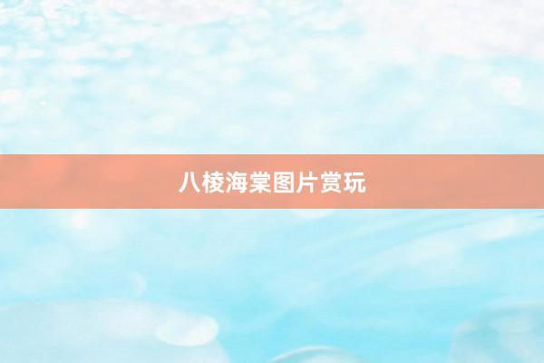 八棱海棠图片赏玩